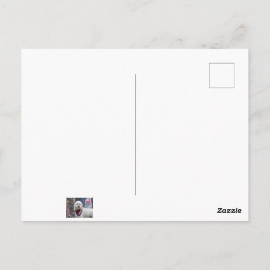 Carte Postale Poodle (Dos)