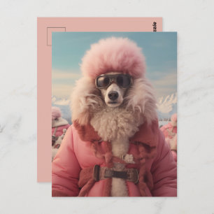 Carte Postale Poodle arctique