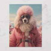 Carte Postale Poodle arctique (Devant)