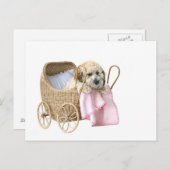 Carte Postale Poodle bébé buggy (Devant / Derrière)