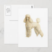Carte Postale Poodle — Clip de chiot (Devant / Derrière)