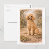 Carte Postale Poodle de style vintage (Devant / Derrière)