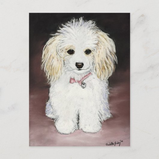 Carte postale Poodle Dog Art (Devant)