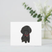 Carte Postale Poodle miniature ou jouet - Noir 1 (Debout devant)