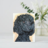 Carte Postale Poodle noir (Debout devant)