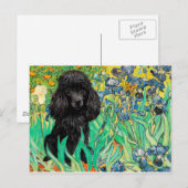 Carte Postale Poodle (noir 1) - Irises (Devant / Derrière)