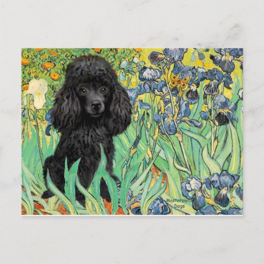 Carte Postale Poodle (noir 1) - Irises (Devant)
