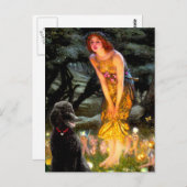 Carte Postale Poodle noir de série moyenne (T) (Devant / Derrière)