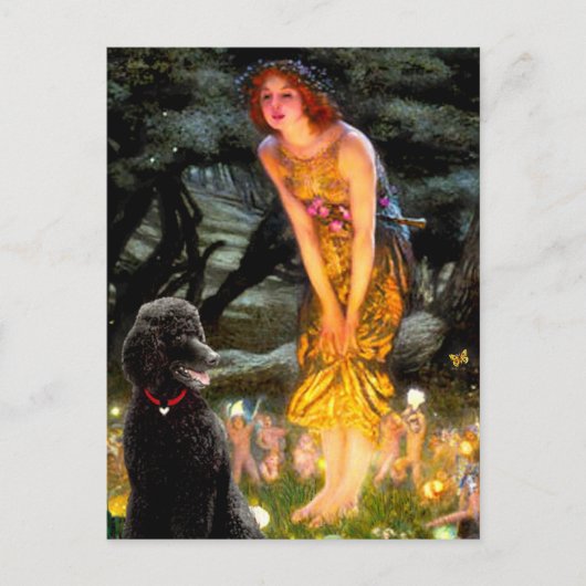 Carte Postale Poodle noir de série moyenne (T) (Devant)