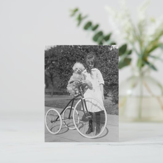 Carte Postale Poodle Perch, 1913 (Debout devant)