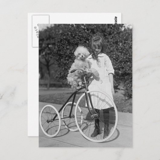 Carte Postale Poodle Perch, 1913 (Devant / Derrière)