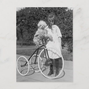 Carte Postale Poodle Perch, 1913