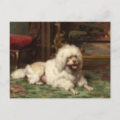Carte Postale Poodle posé sur le coeur | École de français (Devant)