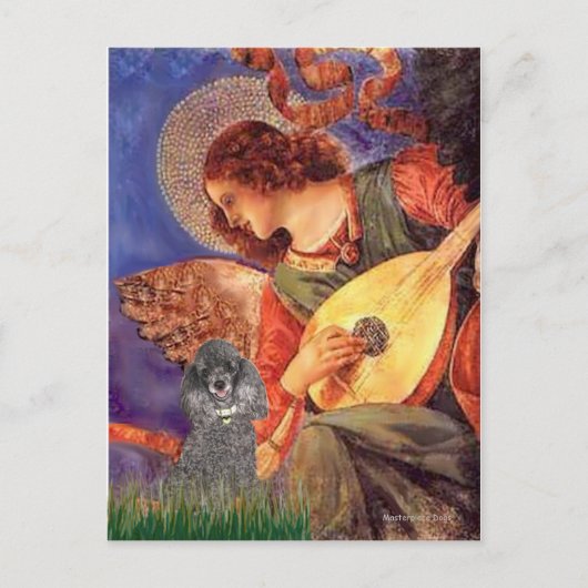 Carte Postale Poodle(s) - Ange au Mandolin (Devant)