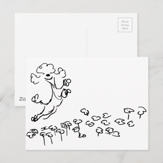 Carte Postale Poodle Springy (Devant / Derrière)