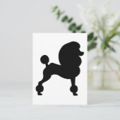 Carte Postale Poodle standard coupé (Debout devant)