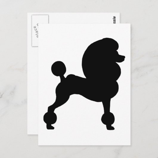 Carte Postale Poodle standard coupé (Devant / Derrière)