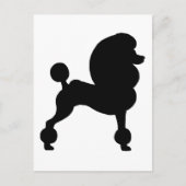 Carte Postale Poodle standard coupé (Devant)