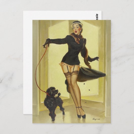 Carte Postale Poodle vers le haut (Devant / Derrière)