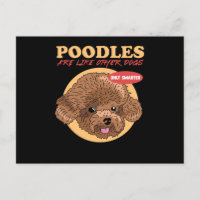 Poodles Are Smarter Dog Owner Poodle