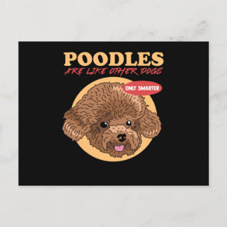 Carte Postale Poodles Are Smarter Dog Owner Poodle