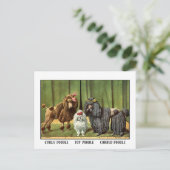 Carte Postale Poodles vintages (Debout devant)