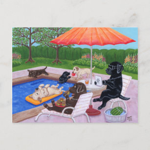 Carte Postale Pool Party Labradors 2 Peinture