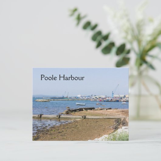 Carte Postale Poole Harbour (Debout devant)