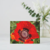 Carte Postale pop (Debout devant)