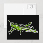 Carte Postale Pop Art Green Grasshopper (Devant / Derrière)