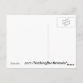 Carte Postale Pop Art Running Dachshund Oars Flapping (Dos)