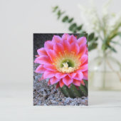 Carte Postale Pop de cactus rose (Debout devant)