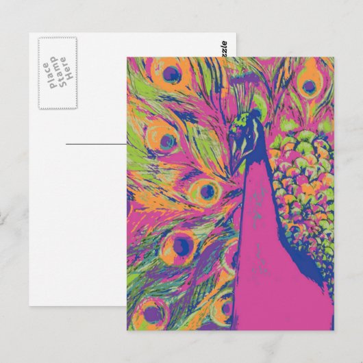 Carte Postale Pop Peacock (Devant / Derrière)