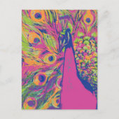 Carte Postale Pop Peacock (Devant)