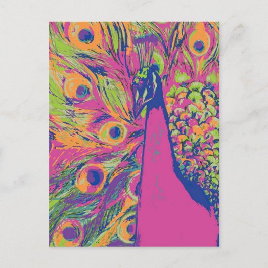Carte Postale Pop Peacock (Devant)