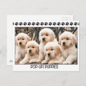 Carte Postale Pop-Up ! Chiens (Devant / Derrière)