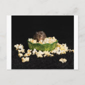 Carte Postale Popcorn (Devant)