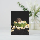 Carte Postale Popcorn (Debout devant)