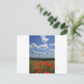 Carte Postale Poppies (Debout devant)