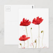 Carte Postale Poppies (Devant / Derrière)