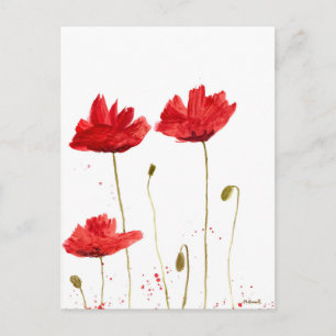 Carte Postale Poppies