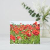 Carte Postale Poppies (Debout devant)