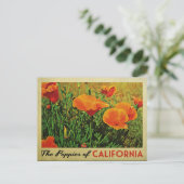 Carte Postale Poppies de Californie (Debout devant)