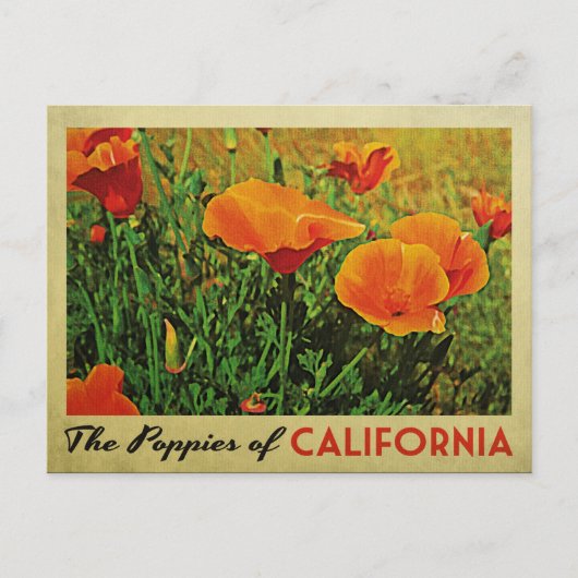 Carte Postale Poppies de Californie (Devant)