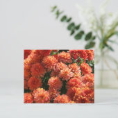 Carte Postale Poppies I (Debout devant)