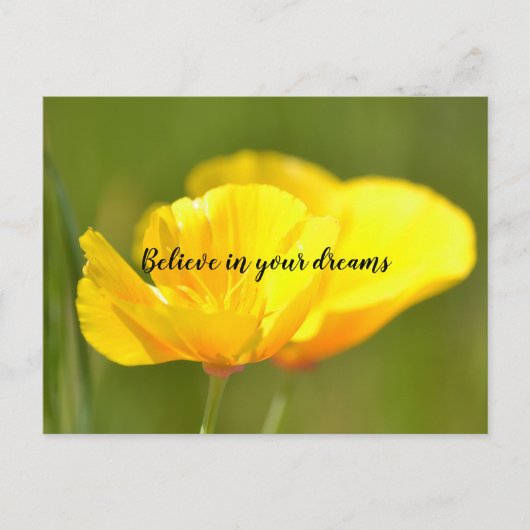 Carte Postale Poppies orange (Devant)