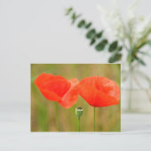Carte Postale Poppies rouges (Debout devant)
