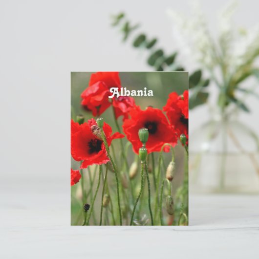 Carte Postale Poppies rouges (Debout devant)