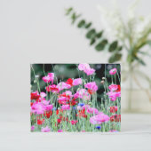 Carte Postale Poppies rouges et roses (Debout devant)