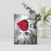 Carte Postale Poppy (Debout devant)